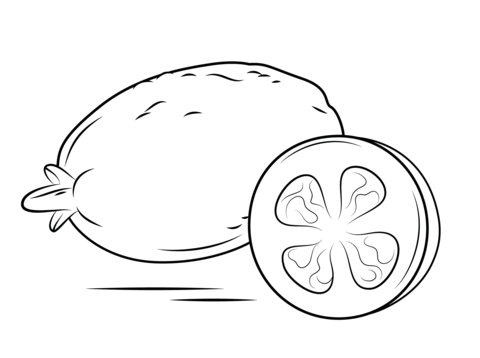 Whole Guava And Cross Section Coloring Page